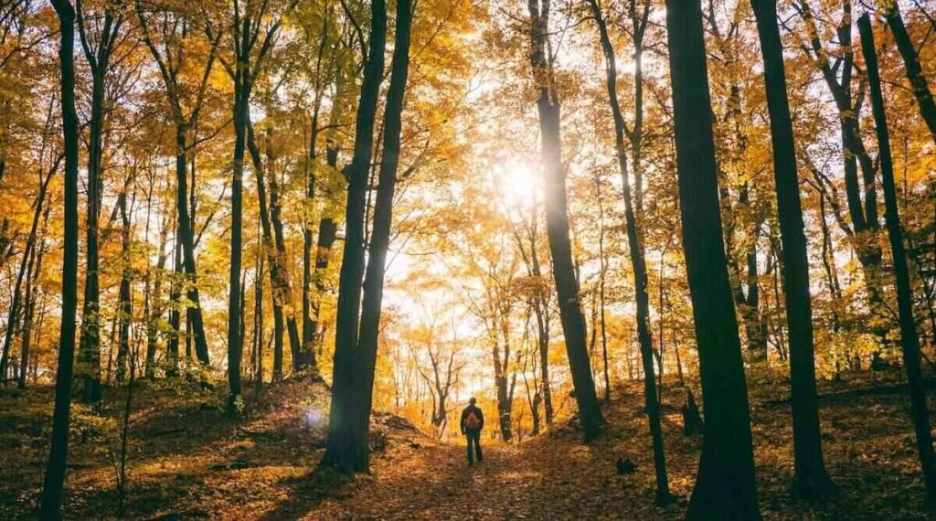 Gå på vandring och ta en naturpromenad för att njuta av den fantastiska höstatmosfären